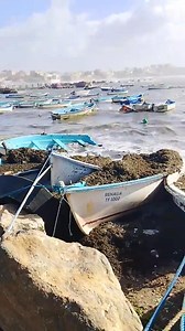Info Tamentfoust : la mer agitée qui refoule du sable fi djazair Alger | Info Algerie DZ