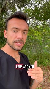 120K views · 1.7K reactions | IF $tatins worked well then why do we still have this problem in the United States….! #cholesterol #wow #high #cardiovascular #fypシ゚viral #fypage #foryourpage #fypツ #foryoupage❤️❤️ #virale #viralditiktok #virale #inflammation #healing #heal | The Wellness Way - Largo | Facebook