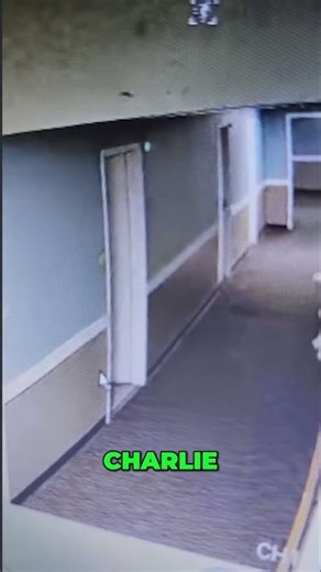 Charlie Bothell's Interview Takes a Wild Turn #shorts