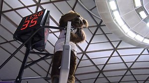 1.6M views · 2.7K shares | Mascots are actual creatures, don't ruin it for me. | FailArmy | Facebook