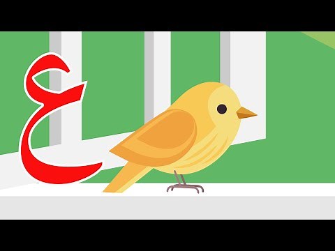 حرف العين - عين مثل عصفور - Arabic alphabet for kids 'Ayn