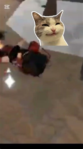 “I Was Just Innocent 😅” #robloxshorts #doorsroblox #roblox99nightsintheforest #funny #edit #deadgame