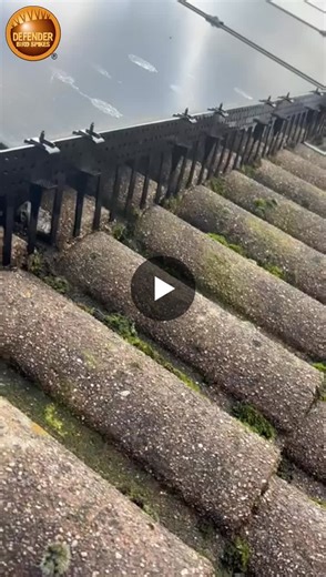 #defenderbirdspikes #pestex #birdproofing #solarpanelproofing #solarmaintenance | Defender Bird Spikes