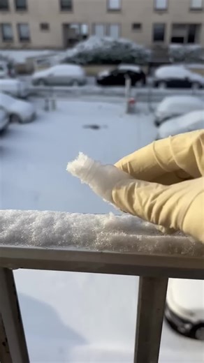 Exploring Snow Under the Microscope