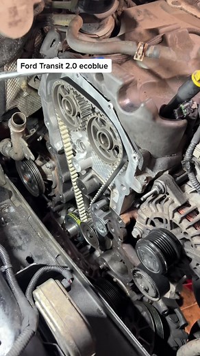 Ford Transit 2.0 Ecoblue Timing Belt vs Timing Chain Comparison