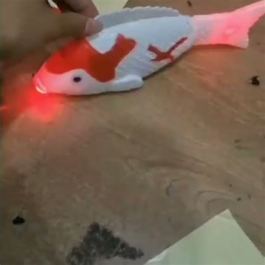 Fish Toys [Factory Error?]