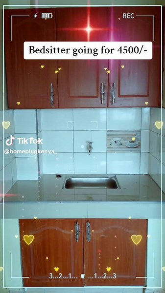 Affordable Bedsitter Rental in Kenya