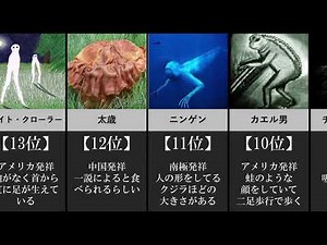 【UMA】有名な未確認生物ランキング