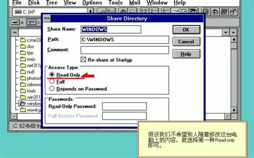 Windows 3.11 下的网络应用，很怀旧