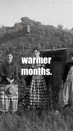 The Walls Were Alive: Critters in Sod Houses #fblifestyle of pioneers #SodHouse #PioneerLife #FrontierHistory #AmericanHistory | History Shortcut