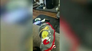 A CHRISTMAS CAT-ASTROPHE - A self-confessed ‘crazy cat lady’ delights in dressing up her cats in Chr