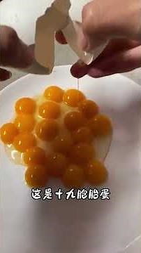 Sharing 19 different types of eggs #Science