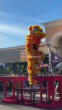 Acrobatic Lion Dance 2026 Chinese New Year
