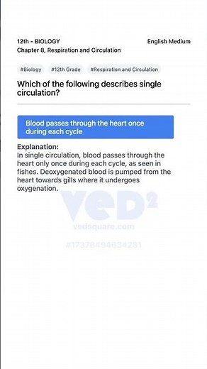 Single Circulation Explained 12th Biology Chapter 8