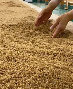 大高酵素株式会社 on Instagram: ". 6月25日のTBSテレビにて放送の 「日立 世界ふしぎ発見！」で 大高酵素の酵素風呂について放送していただきました🤗 ミステリーハンターの井上 咲楽さん(@bling2sakura )が 大高酵素のおがくず風呂に入ってくれていましたね〜🤩 スッキリされた様子でしたね🥺 整っていらっしゃいました🥺✨ ありがとうございます😊 大高酵素の醗酵おがくず風呂とは、 針葉樹のオガクズを 発熱性微生物と植物エキス醗酵液により醗酵させた温浴です🌿 心身に極めてストレスの少ない穏やかな温浴法で、 からだの芯から温まり、 深いリラグゼーション効果が得られます☺️ 咲楽さんが体験していただいたのは、 東京都の「酵素浴SPA helios＋」 その他、大高酵素のおがくず風呂は、全国にあります💡 全国の大高酵素のおがくず風呂は ホームページに掲載しております💁‍♀️ ホームページはこちら https://www.ohtakakohso.co.jp/ogakuzu/ ぜひお近くの施設で おがくず風呂を体験してみてください☺️🌿 発酵パワーでから