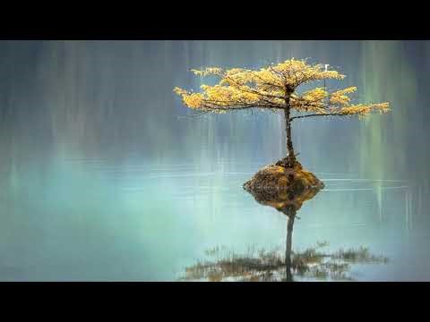 432Hz Miracle Healing Tone ✨ | 10 Hours | Black Screen | Deep Sleep & Raise Positive Vibrations