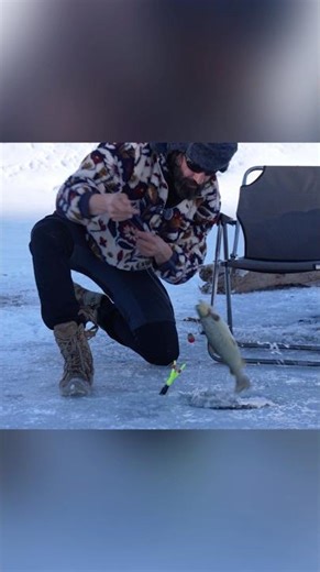 Fishing on a Frozen lake #fishing #fish #camping