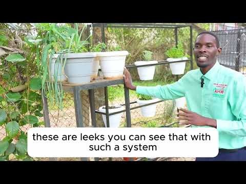 back Yard farming
