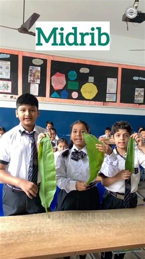 “Learn Parts of a Leaf with Fun Activity | Science for Students”#mcps #school