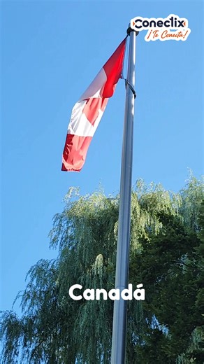 🚀 ¡Conéctate a la velocidad que necesitas con Conectix! 🚀 Internet por fibra óptica, telefonía y televisión, todo en un solo lugar. 🌐📞📺 ✅ Planes desde $300 al mes (50 megas) ✅ Telefonía ilimitada por solo $50 al mes ✅ TV básica con 70 canales por $150 al mes ✅ ¡Sin costo de instalación! Disfruta tus series y películas favoritas en Fire TV, Roku, Android TV, webOS y Tizen. 🎬📺 📞 Contrata hoy: 📲 800 925 22 22 📲 WhatsApp: 449 333 04 44 💳 Aceptamos pagos en OXXO, PayPal, Mercado Pago y más