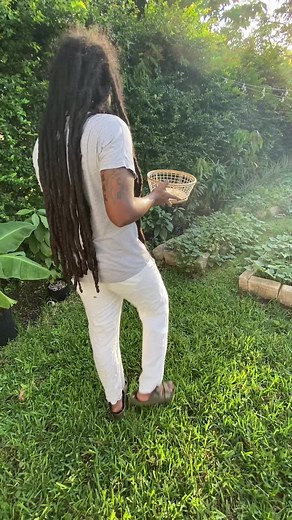 Jamaican Dreads: Embracing Cultural Hairstyles