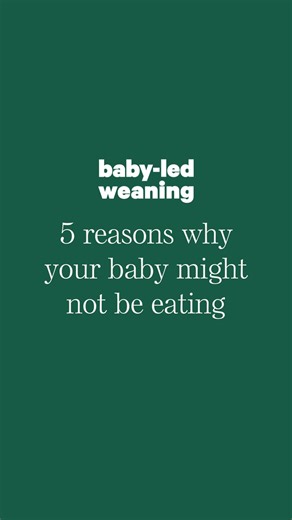 🚨HELP…my baby won’t eat!!! 😩 Comment 👉 𝐁𝐋𝐖𝐒𝐓𝐀𝐑𝐓 👈 for more information about giving your baby a safe start to solid foods There are LOTS of reasons why your baby might not be digging food, especially in the early days of starting solid foods: 1️⃣ HUNGRY for infant milk…early eaters at 6 or 7, even 8 months of age don’t yet know how to use food to make hunger go away. Infant milk (breastmilk and/or formula) is still their primary source of nutrition. Nurse or bottle feed your baby lik