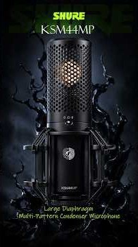SHURE KSM44MP — VOCALS + TABLA SOUND INSANE!