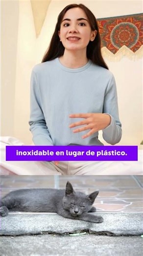 Your Cat Will Drink TWICE AS MUCH WATER #catshorts #cats #cat #cats #youtubeshorts #pets #kitties