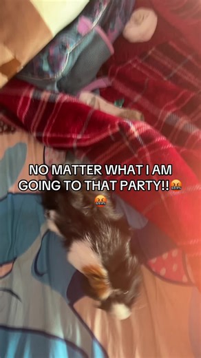 Dount_galxy (@dount_galxy15)’s videos with AfterMath by Caravan place - Kino!