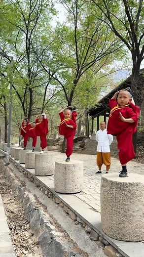 Shaolin Worldwide | Under the watchful eye of Master Shi Yan Dian, five young Shaolin disciples practice one of the most fundamental and demanding forms of... | Instagram