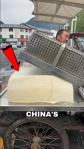 Tofu vs Paneer 🤯 What’s the Real Difference?