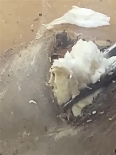 Extreme Peel Free Pedicure Treatment Experience