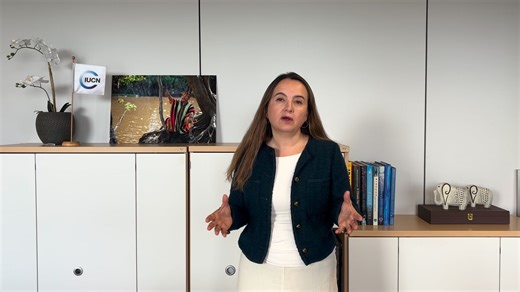 Conservation is the strongest when science and traditional knowledge work hand in hand. For centuries, Indigenous peoples and local communities have protected, managed and lived in balance with wetlands, passing down knowledge and practices that continue to sustain these vital ecosystems today. On this #WorldWetlandsDay, let us honor the deep cultural connections to wetlands. Dr Grethel Aguilar, Director General of IUCN . #WWD2026 #WorldWetlandsDay2026 #CelebratingWetlands #WetlandsandCulture | 