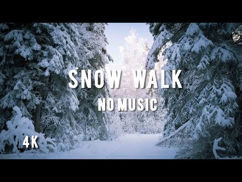 Snow Walk in Winter Forest ❄️ No Music | Natural Snow Sounds (4K)