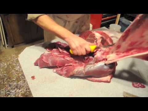 De-boning a Moose Shoulder