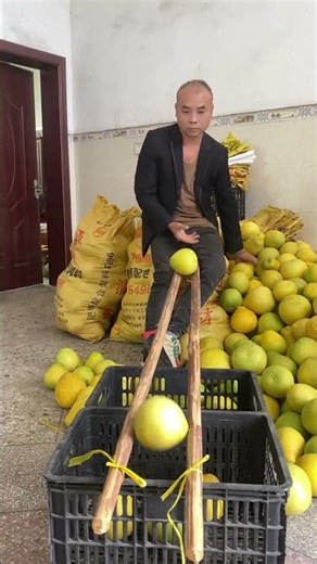 Efficient sorting method for pomelos