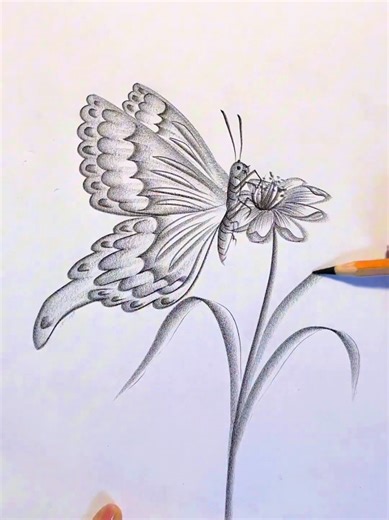 How to Draw with a Pencil: Step-by-Step Tutorial