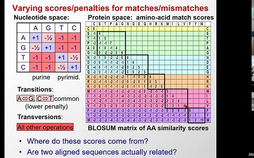 【MIT】基因组学中的机器学习（2020|秋）