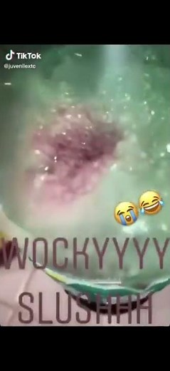 Wocky Slush original video