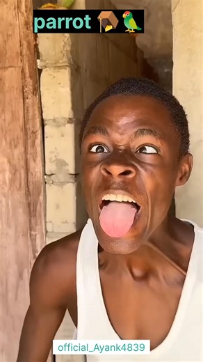 parrot a cutting comedy video #shorts #parrot #funny