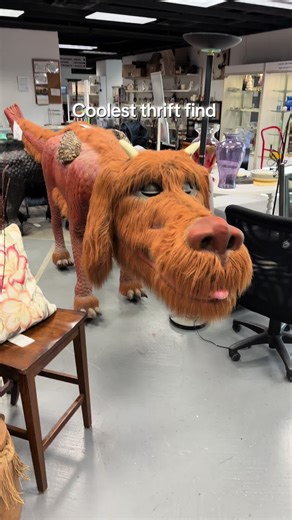Amazing Animatronics Discovery at Thrift Store
