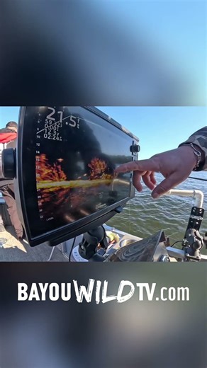 Unlock Toledo Bend Secrets: Pro Tips & Live Scope Secrets! #shorts