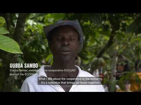 Life on a Fairtrade Cocoa Farm