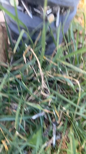 The things I see at showings. Choose your roofer wisely. I didn’t realize downspouts were trashcans. | Ashley Lydia Phillips