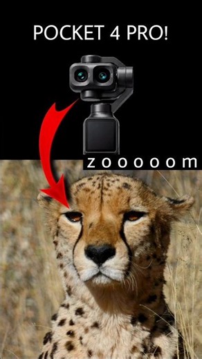 DJI Osmo Pocket 4 Pro | Unbelievable Zoom Test