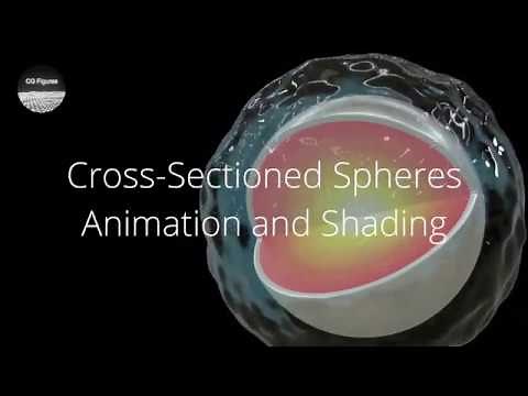 Animation and Materials for Cross-Sectioned Spheres