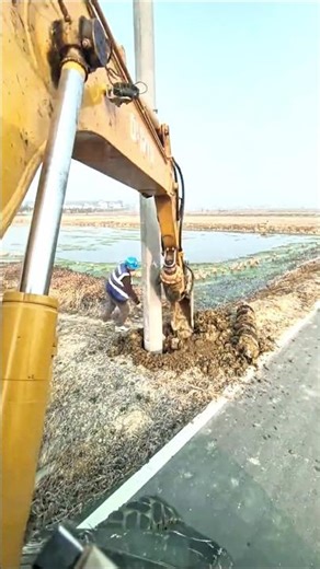 Installing Electric Pole with Excavator #shorts