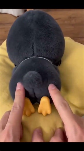 Don't wake the sleeping baby! 😠