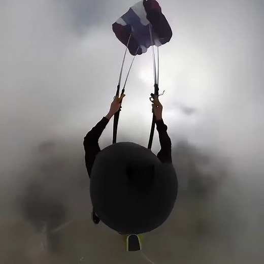 114K views · 2.6K reactions | Military parachute unique feature Airplane navigation light! Tiger cabs! Smooth box crab! Diving bell spider! #science #sciencefacts #spacefacts #virals #shorts #space #astronaut | REAL FACTS | Facebook