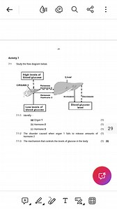 Activity 77.1 Study the flow diagram below (image provided).... | Filo